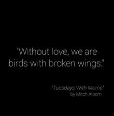 ... we are birds with broken wings.