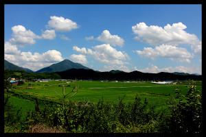 Funny Quotes Contact Us DMCA Notice