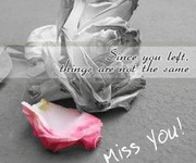 Your Ecards missing you quotes for him miss you, missing, rose