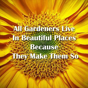All Gardeners Live In Beautiful... Quote