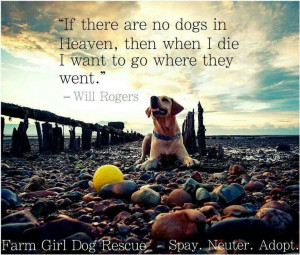 If there are no dogs on Heaven, then when I die, I want to go where ...