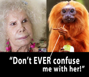 people memes funny animals crazy woman funny hair bad fam ellen funny