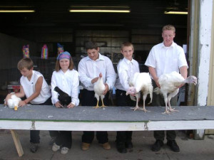 The Poultry and Rabbit Barns