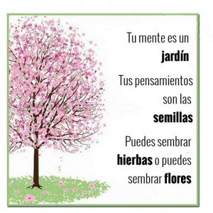 Pinned by Diego Ojeda