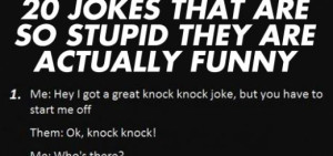 dumb jokes feature