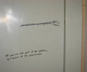 Funny Bathroom Writings (14 pics)