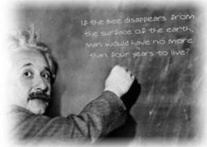... Einstein, who was neither an entomologist nor an expert in beekeeping