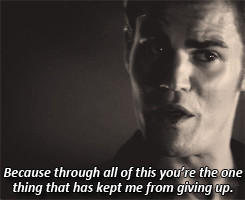 quotes from paul credit credit credit quotes from stefan salvatore