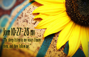 Bible Verses John 10:27 Flower Scripture HD Wallpaper