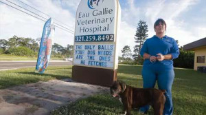 Eau Gallie veterinary's humorous signs draw national attention