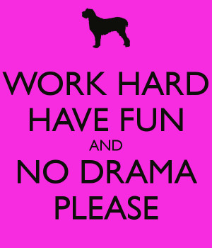WORK HARD HAVE FUN AND NO DRAMA PLEASE