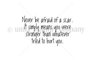 Never Be Afraid of a Scar --Sentiments--