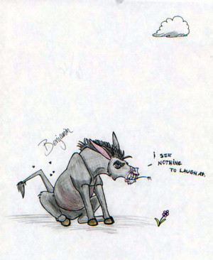 Mollie Animal Farm Animal farm char: benjamin by