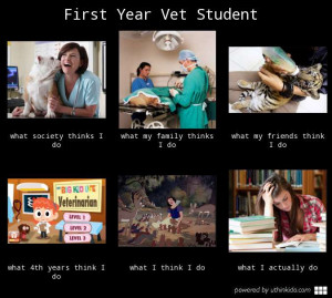 First Year Vet Student What People Think I Do Really
