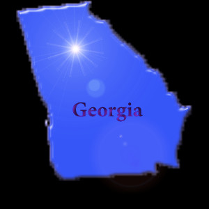 Georgia's Insurance Search Engine