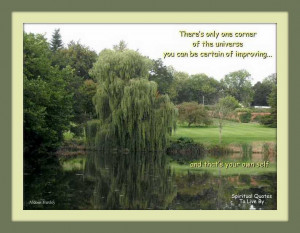 willow tree quotes