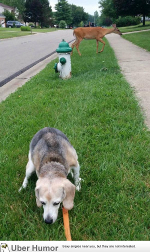 SIGN UP FOR THE NEW UBERHUMOR NEWSLETTER