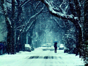 Winter Frost Snow Road Trees Couple Girl Guy Kiss Mood Feelings Photo ...
