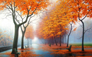 water landscapes trees autumn season rain orange leaves fog bench ...