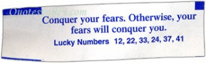 Conquer Your Fears, Otherwise Your Fears Will Conquer You