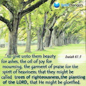 Trees of righteousness | Bible Verses