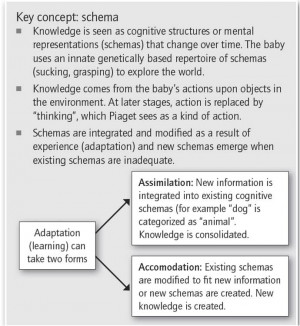 Stage theory: Children’s cognitive development progresses through ...