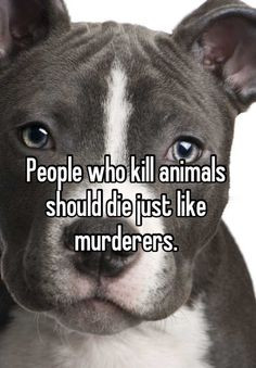 people who kill animals should die just like murderers