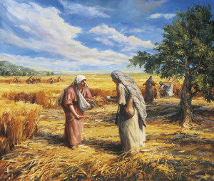 Ruth Gleaning in the Fields (Ruth and Naomi)