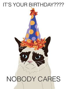 ... ? - nobody cares - funny - cat lover - birthday card - sarcastic