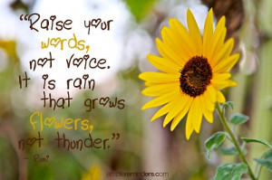 Raise Your Words, Not Your Voice