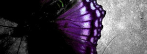 Gothic Dark Purple Butterfly Facebook Timeline Covers
