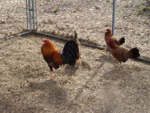 Funny Quotes Contact Us DMCA Notice