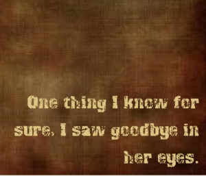 Zac Brown Band - Goodbye in Her Eyes - song lyrics, song quotes, songs ...
