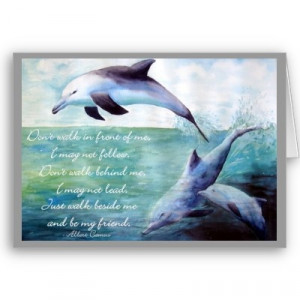 Dolphin Quote