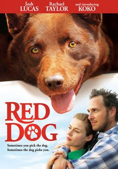 Homepage › Family › Comedy › Red Dog »