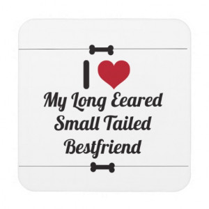 Funny Dog Quote Coasters