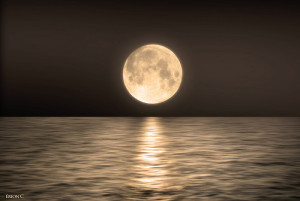 The movement of the moon affects the tides of the ocean.