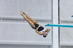 Springboard Diving Quotes 1 meter diving championship