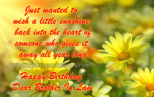 Happy Birthday Quotes for Brother in Law