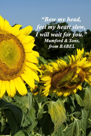 ... evocative quotes joined with original photography in a slideshow at