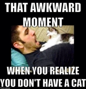 and I don't even know who's more surprised, the human or the cat?