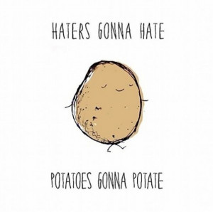 Haters gonna hate memes22 Funny: Haters gonna hate memes