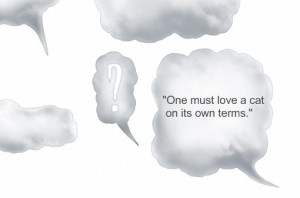 animal rescue sayings