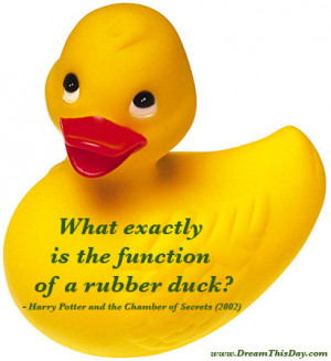 What exactly is the function of a rubber duck ?