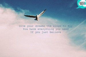 Wings to fly dream big picture quote