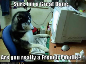 funny animal with funny sayings funny animal with funny sayings funny ...