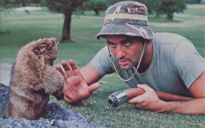 Caddyshack Bill Wallpaper 1280x800 Caddyshack, Bill, Murray
