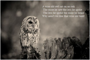 Inspirational Quotes with Owls