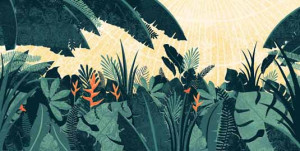 ... Attenborough quote for Falmouth's Book of Illustrated Quotes & Sayings