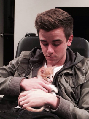 adorable, best, bg, boys, canon, chaton, connor, connor franta, cute ...